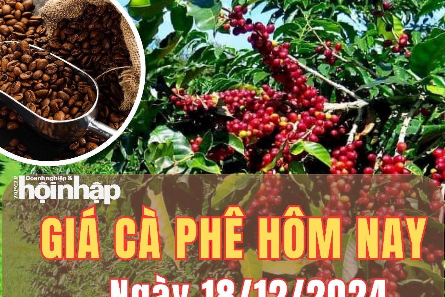 Giá cà phê hôm nay 18/12/2024: Giá cà phê thế giới đồng loạt giảm nhẹ, trong nước quay trở lại tăng 800 đồng/kg