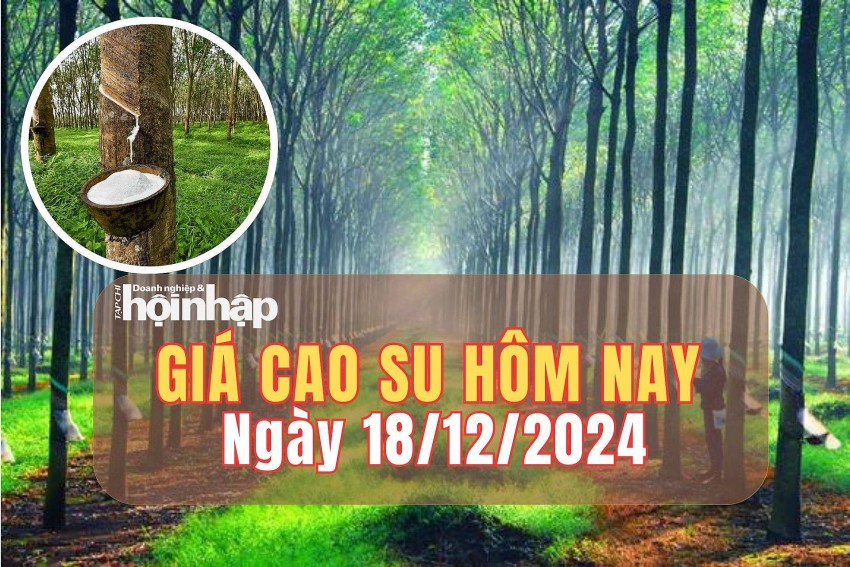Giá cao su hôm nay 18/12/2024: Giá cao su trên sàn SHFE giảm mạnh. Giá cao su hôm nay 18/12/2024: Giá cao su trên sàn SHFE giảm mạnh.