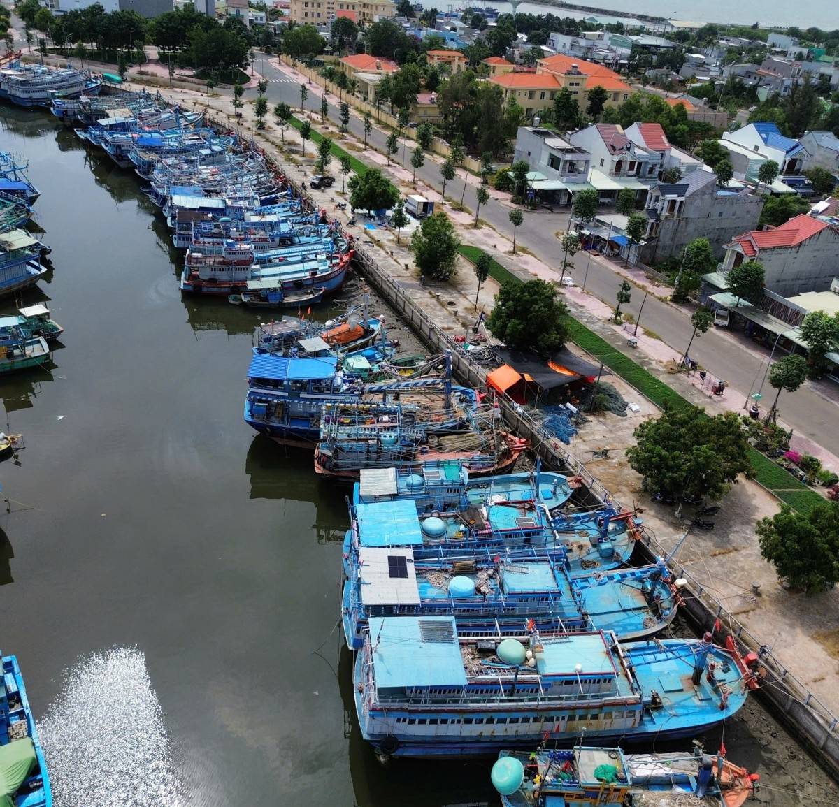 Bình Thuận: Xử lý dứt điểm tình trạng tàu cá  Bình Thuận: Xử lý dứt điểm tình trạng tàu cá "3 không" trước 31/12/2024