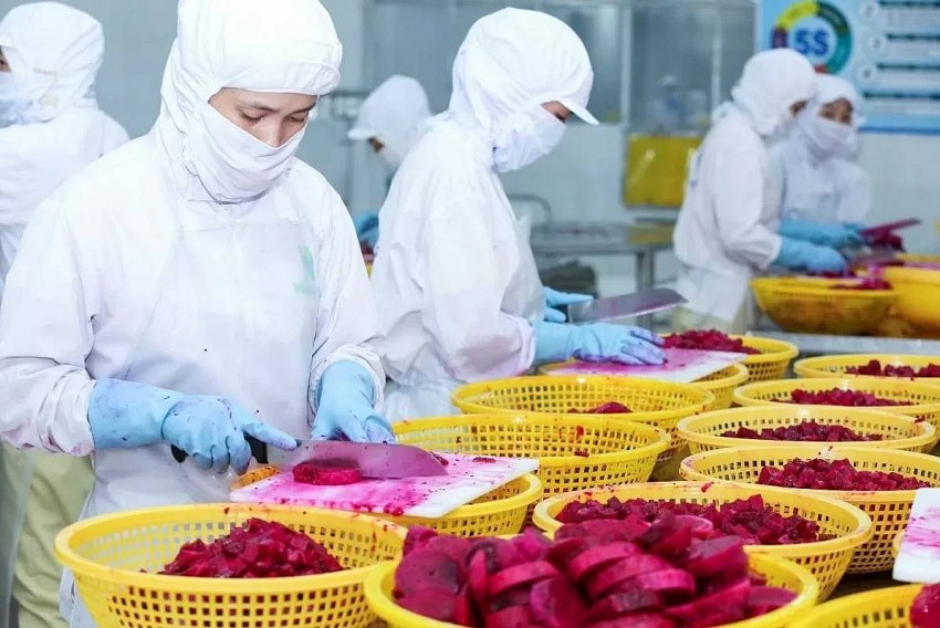 Cơ hội xuất khẩu rau quả Việt tại thị trường Thụy Điển