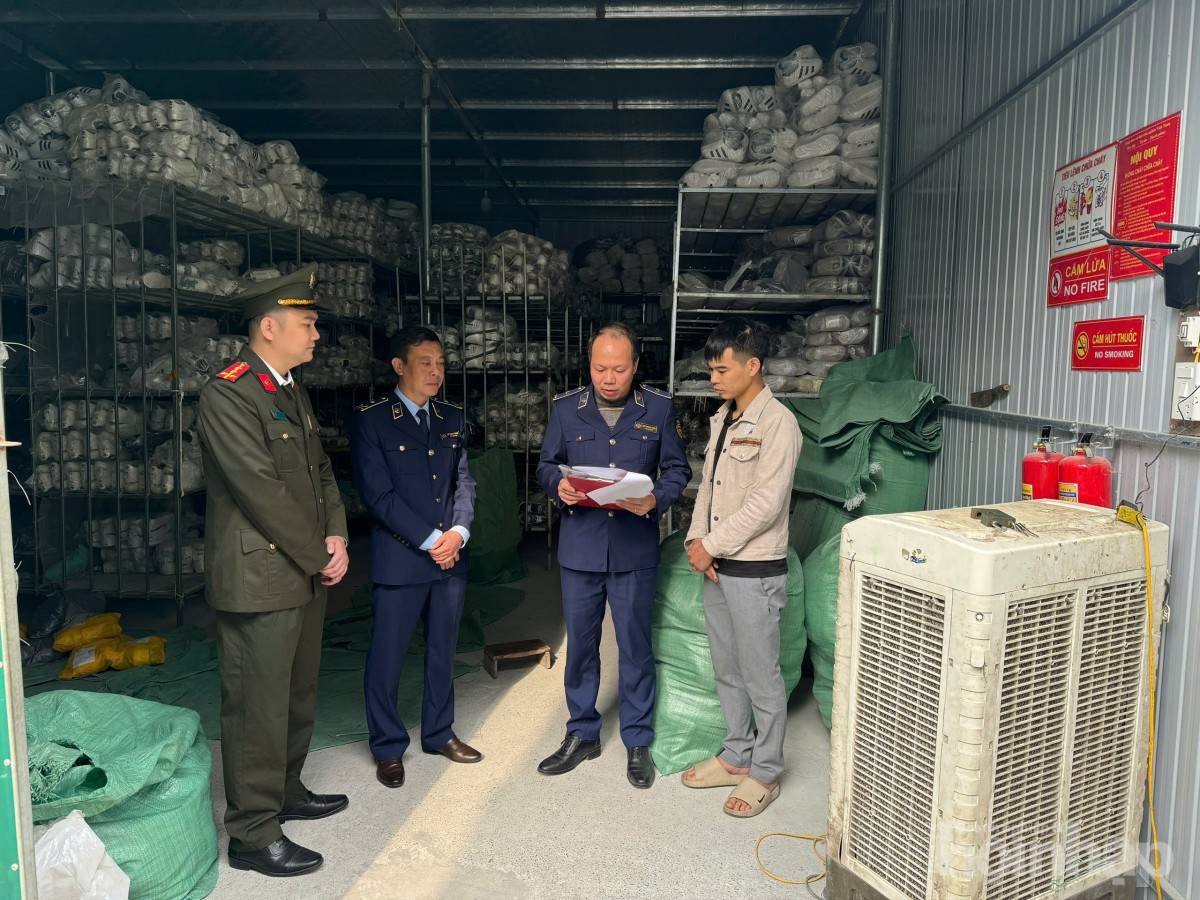 Phú Thọ: Phát hiện gần 6000 sản phẩm giày giả mạo các thương hiệu nổi tiếng