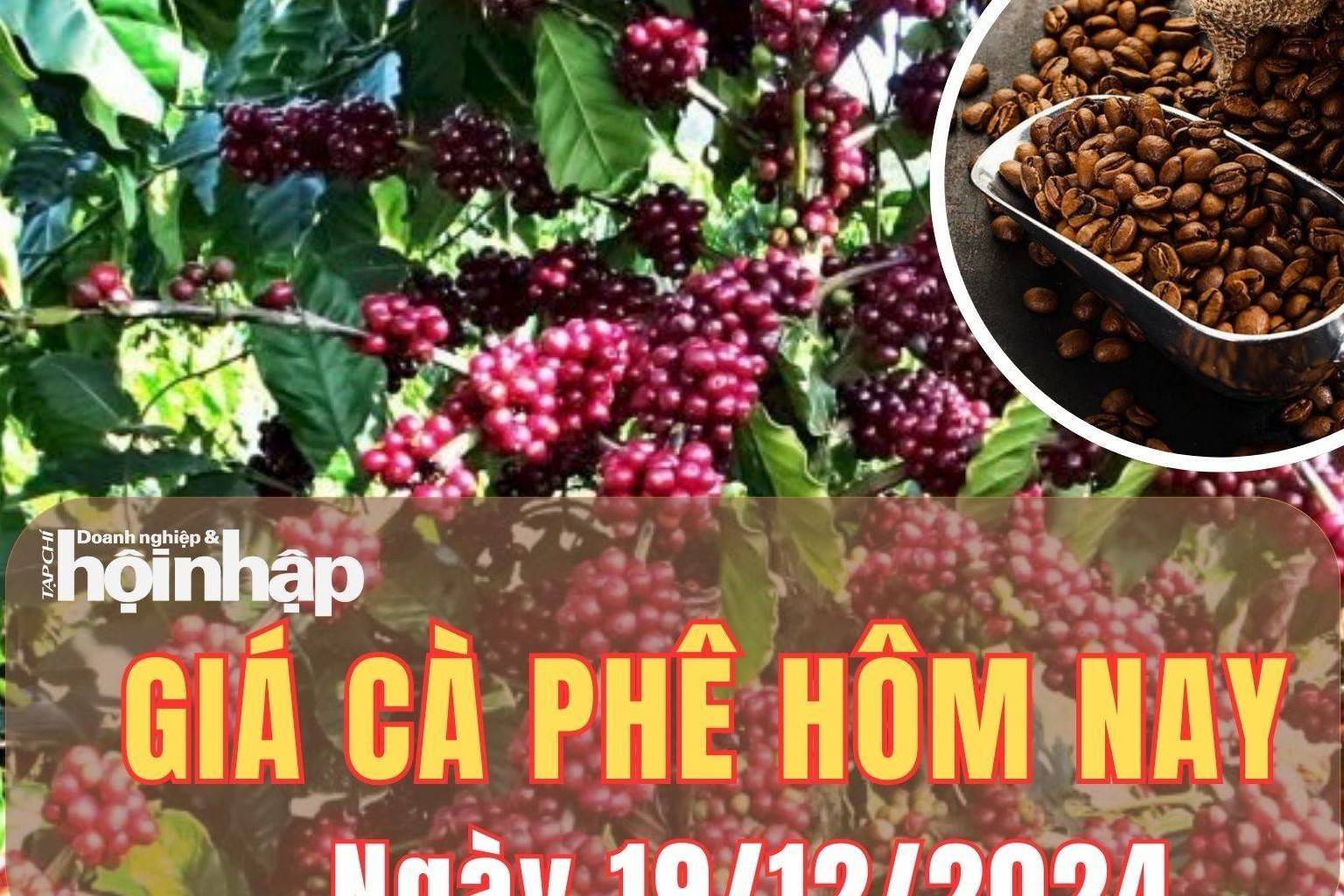 Giá cà phê hôm nay 19/12/2024: Giá cà phê trong nước quay đầu giảm từ 500 -1.000 đồng/kg