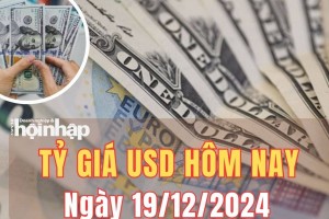 Tỷ giá USD hôm nay 19/12/2024: Đồng USD thế giới đạt mức 108,24 điểm - cao nhất trong 2 năm