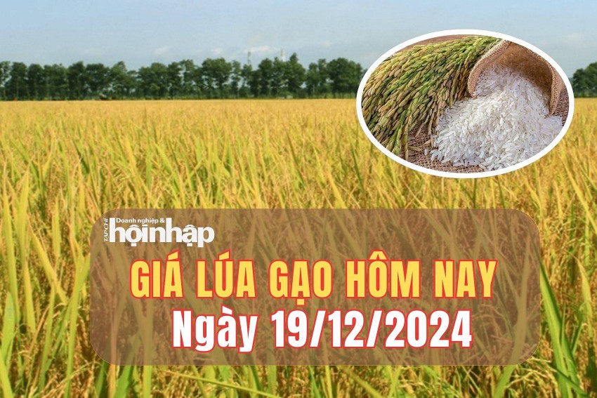 Giá lúa gạo