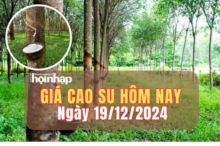 Giá cao su Giá cao su