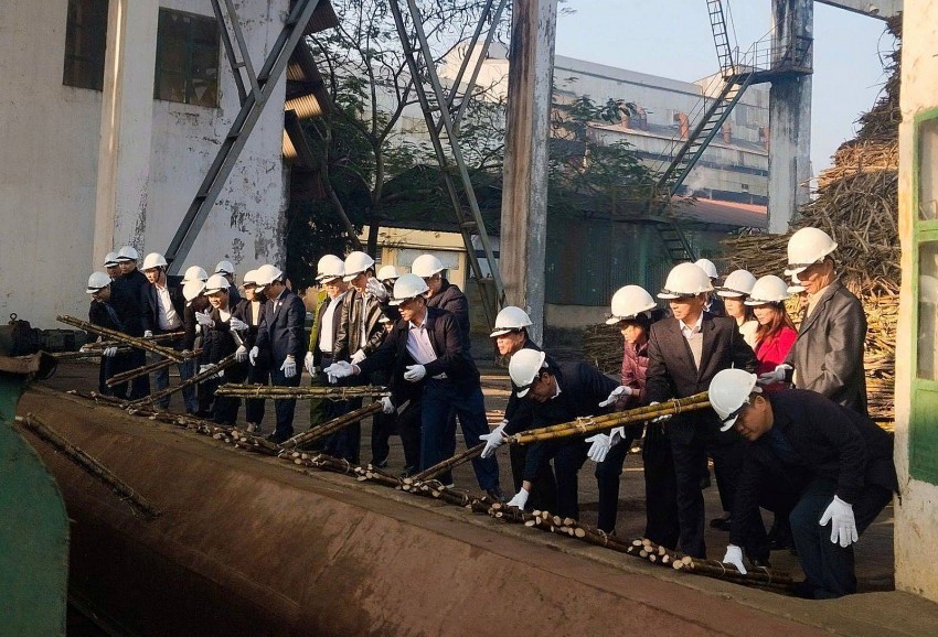 Tuyên Quang: Niềm vui của người lao động Mía đường Sơn Dương với niên vụ sản xuất mới