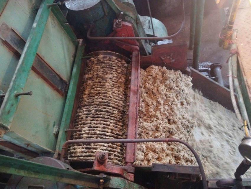 Tuyên Quang: Niềm vui của người lao động Mía đường Sơn Dương với niên vụ sản xuất mới