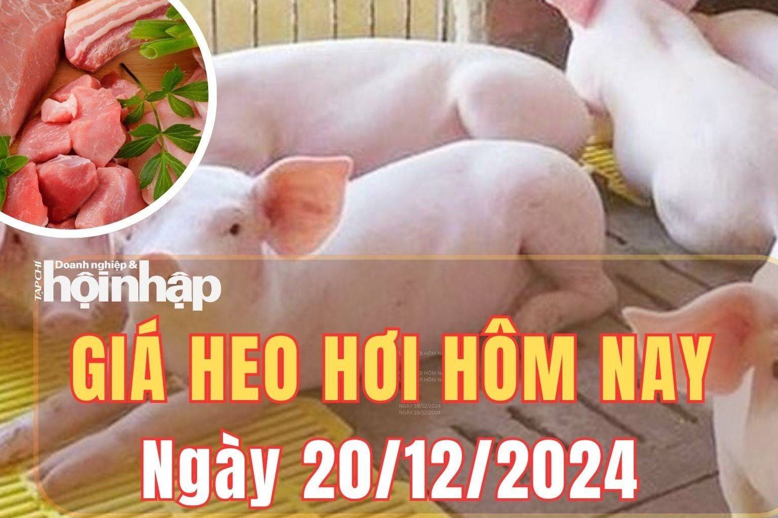 Giá heo hơi hôm nay 20/12/2024: Giá heo hơi tiếp đà tăng trên cả ba miền