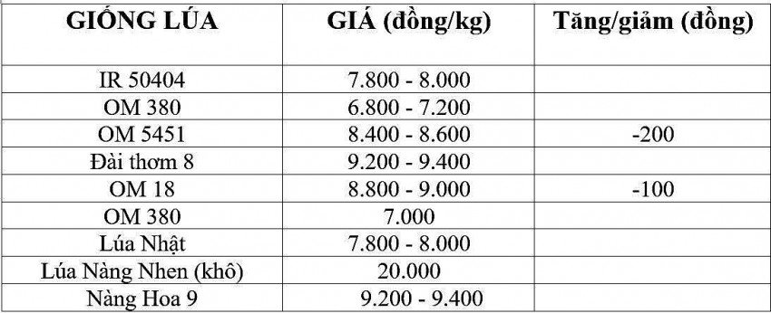 Bảng giá lúa hôm nay 20/12/2024.