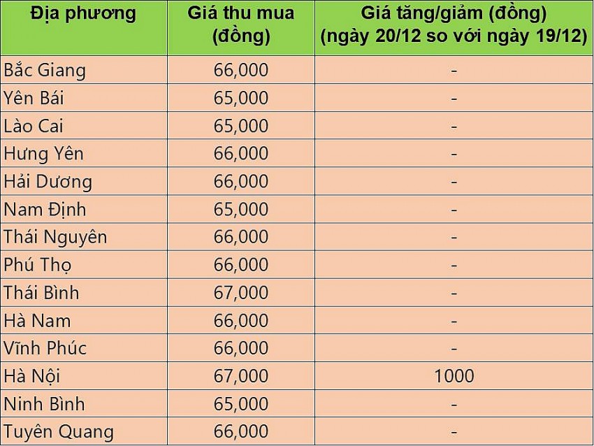 Bảng giá heo hơi tại miền Bắc hôm nay 20/12/2024.