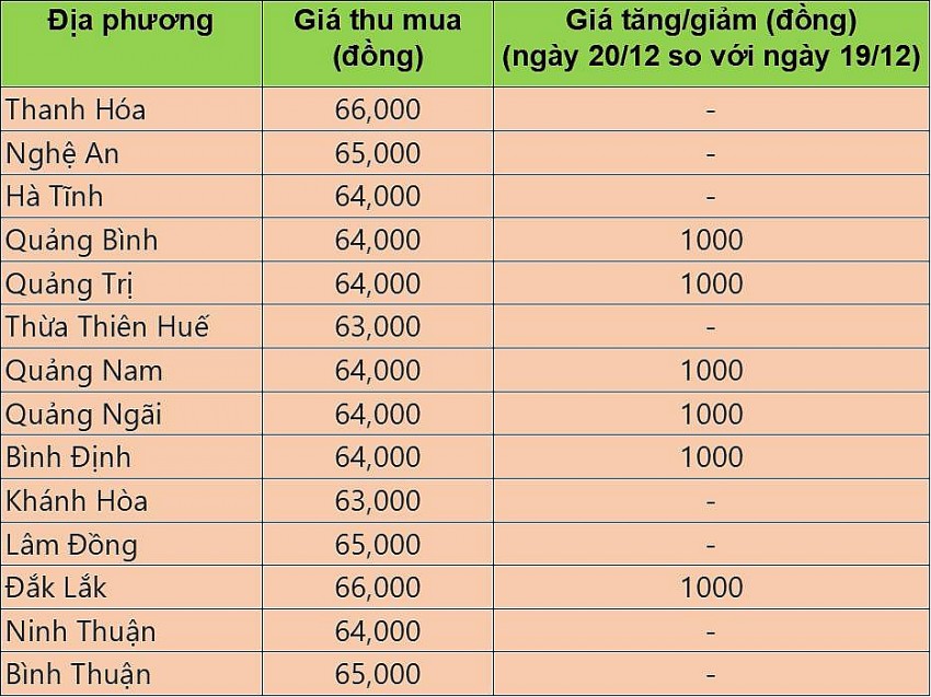Bảng giá heo hơi tại miền Trung hôm nay 20/12/2024.