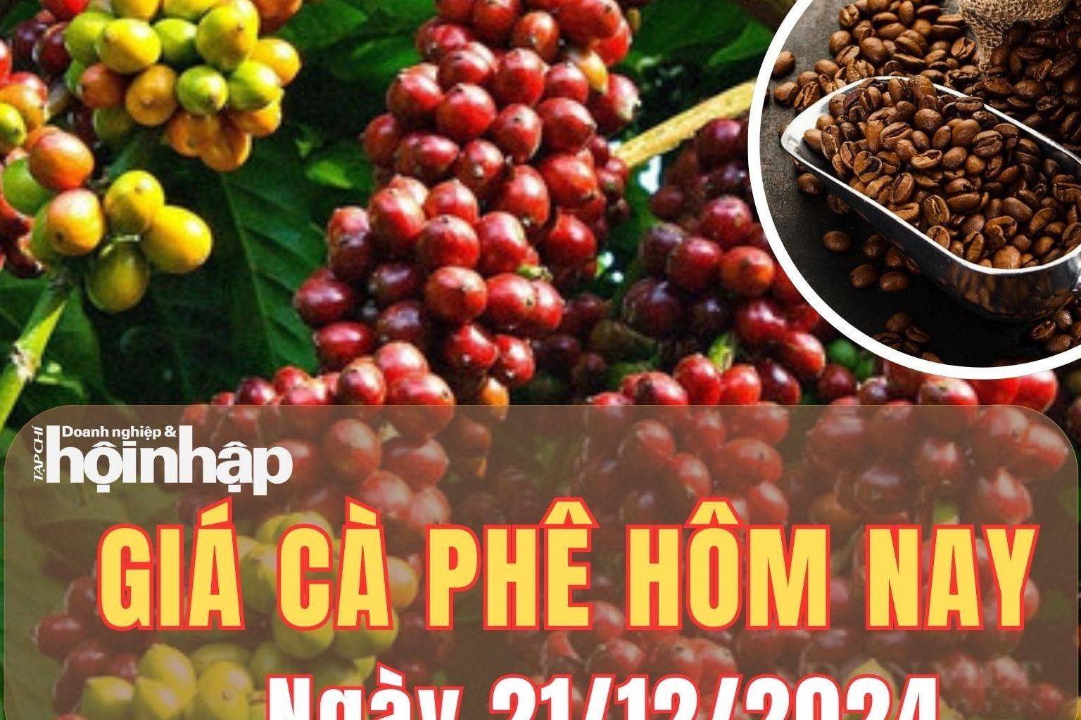 Giá cà phê hôm nay 21/12/2024: Giá cà phê trong nước bất ngờ giảm mạnh từ 1.000 - 2.000 đồng/kg