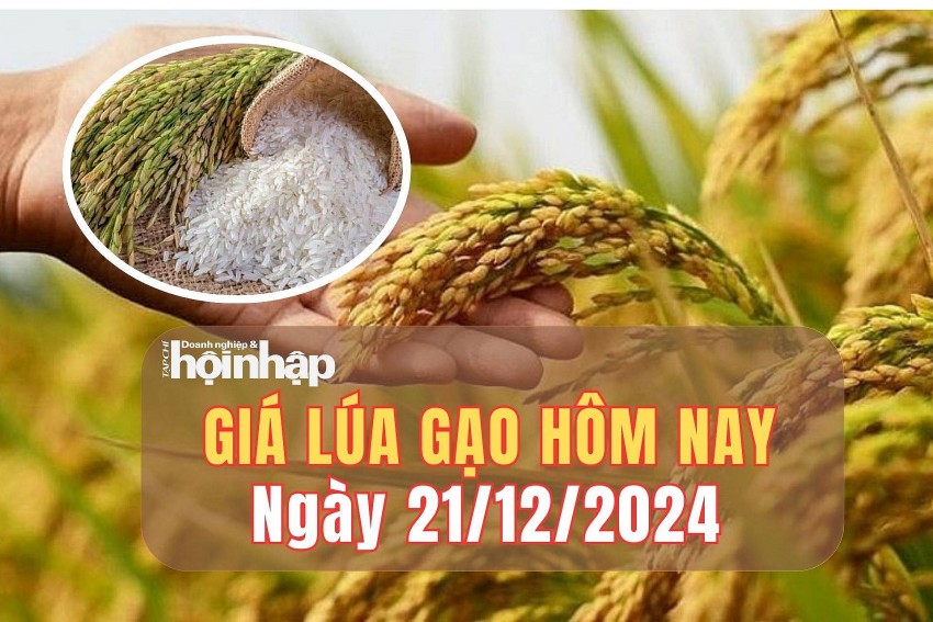 Giá lúa gạo