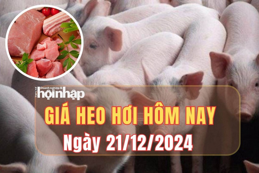 giá heo hơi