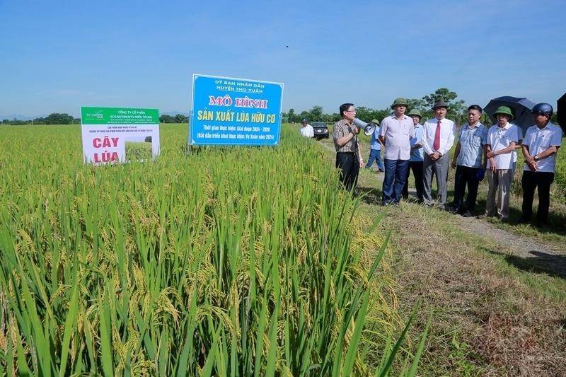 Thanh Hóa hiện đang có 3 huyện đạt NTM nâng cao.