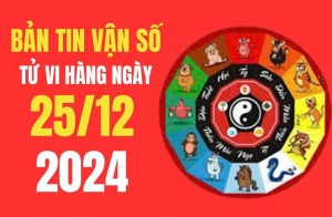 Tử vi - Vận số ngày 25/12/2024: Tuổi nào có vận trình suộn sẻ và thuận lơi, may mắn về tiền bạc