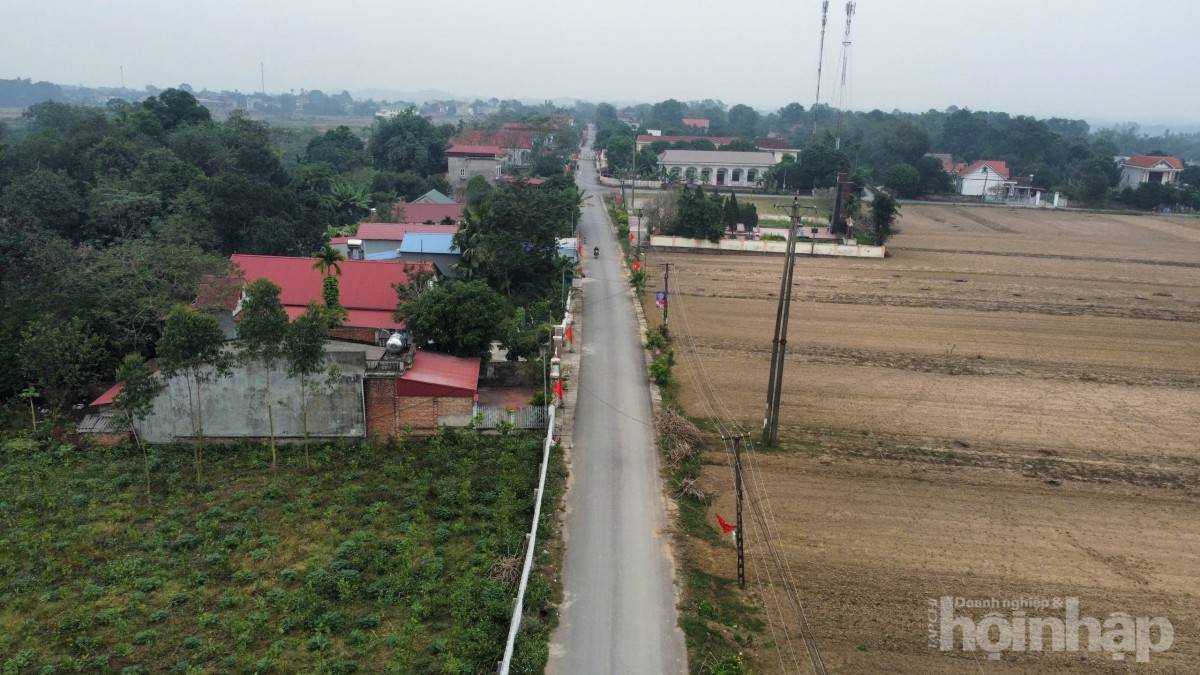 Phú Thọ: Thay thế nhà thầu thi công chậm tiến độ tại dự án làm đường hơn 14 tỷ đồng ở Tam Nông