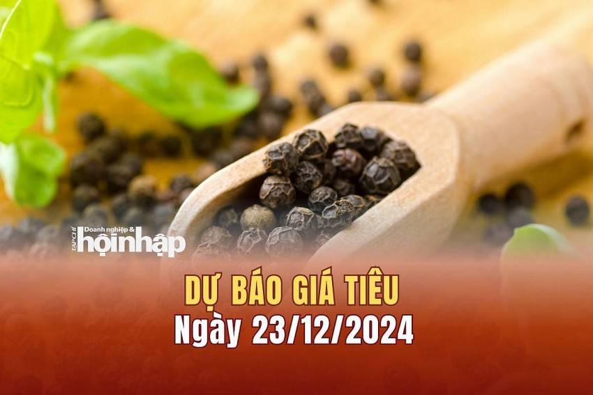 Dự báo giá tiêu 23/12: Giá tiêu trong nước tăng nhẹ trở lại