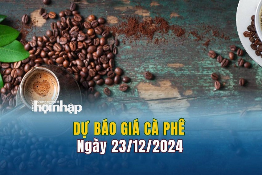 Dự báo giá cà phê 23/12/2024 Dự báo giá cà phê 23/12/2024