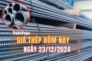 Giá thép hôm nay 23/12: Đầu tuần, thép quốc tế giảm, thép nội địa dao động quanh mức 13.900 đồng/kg