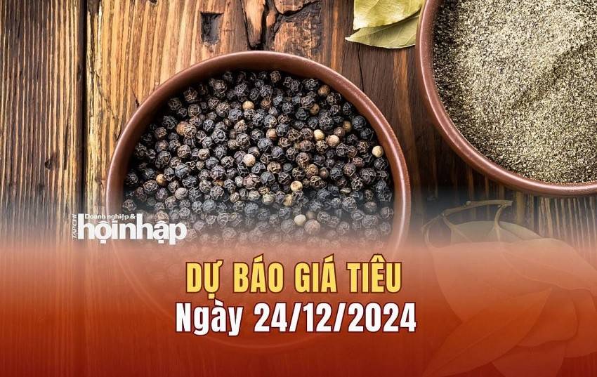 Dự báo giá tiêu 24/12: Giá tiêu trong nước giảm nhẹ