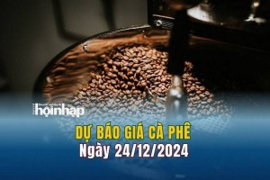 Dự báo giá cà phê 24/12: Giá cà phê nội địa có xu hướng giảm