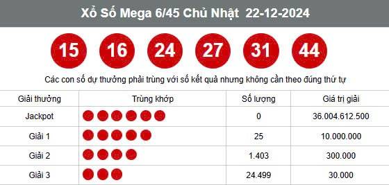 Vietlott 25/12, Kết quả xổ số Vietlott hôm nay 25/12, Xổ số Mega 6/45 ngày 25/12/2024
