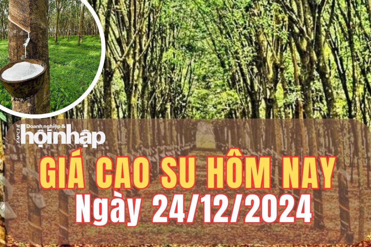 Giá cao su hôm nay 24/12/2024: Giá cao su trong nước điều chỉnh tăng nhẹ