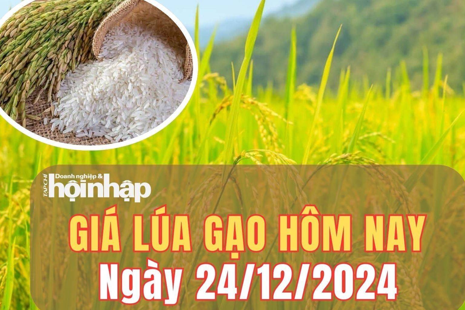 Giá lúa gạo hôm nay 24/12/2024: Giá một số loại gạo điều chỉnh tăng nhẹ 100 đồng/kg