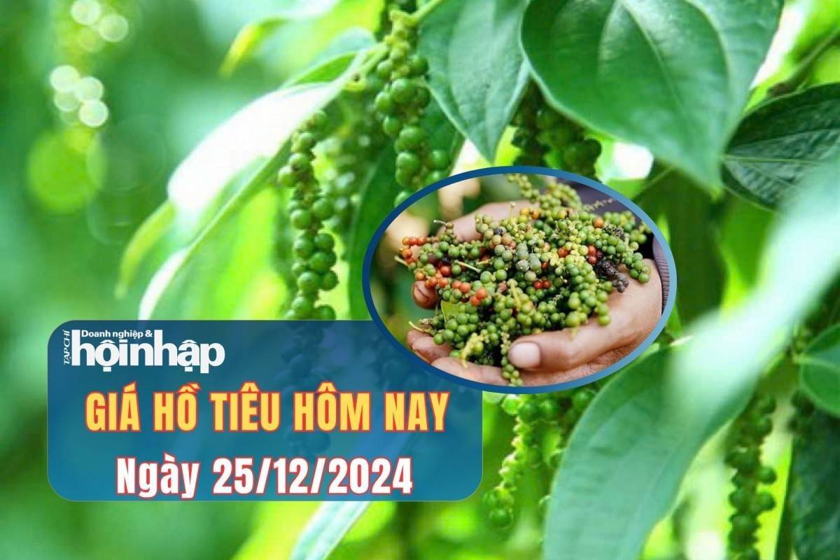 Giá tiêu hôm nay 25/12: Giá tiêu thế giới giảm nhẹ