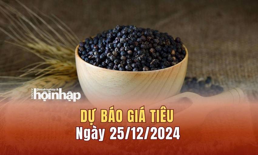 Dự báo giá tiêu 25/12: Giá tiêu nội địa tiếp tục xu hướng giảm nhẹ