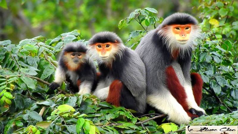 10 sự kiện nổi bật của Bộ Tài nguyên và Môi trường năm 2024 10 sự kiện nổi bật của Bộ Tài nguyên và Môi trường năm 2024