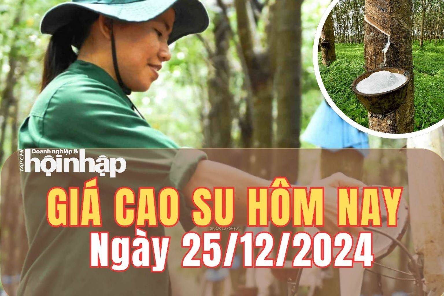 Giá cao su hôm nay 25/12/2024: Giá cao su thế giới tăng - giảm trái chiều