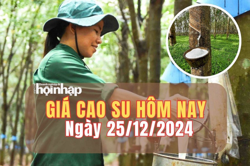 giá cao su giá cao su