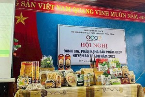 Sản phẩm OCOP của huyện Bố Trạch giúp tăng giá trị và phát triển kinh tế nông thôn