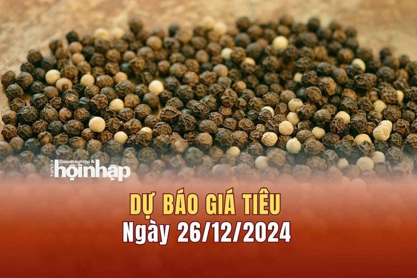 Dự báo giá tiêu 26/12: Giá tiêu nội địa tiếp tục ổn định, quốc tế giữ đà tăng