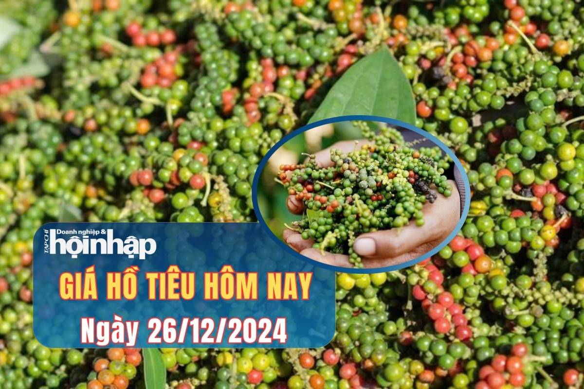 Giá tiêu hôm nay 26/12: Giá tiêu hôm nay 26/12: