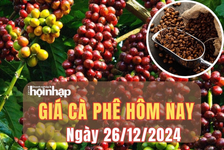 Giá cà phê hôm nay 26/12/2024: Giá cà phê thế giới duy trì đà tăng nhẹ.