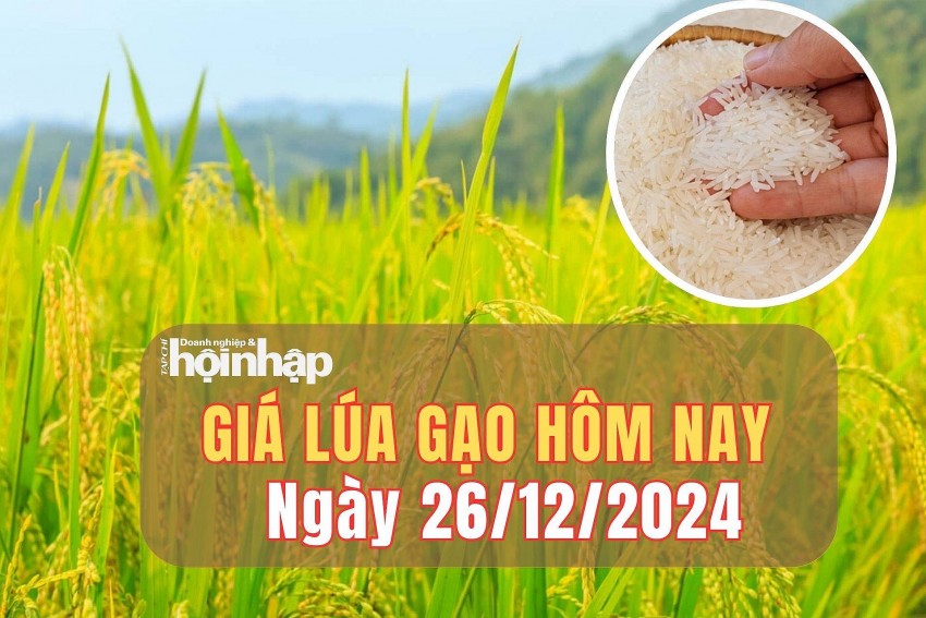 Giá lúa gạo hôm nay 26/12/2024: Giá lúa gạo trong nước điều chỉnh giảm nhẹ 100 đồng/kg.