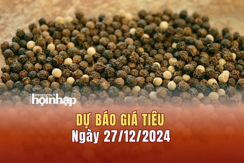 Dự báo giá tiêu 27/12/2024