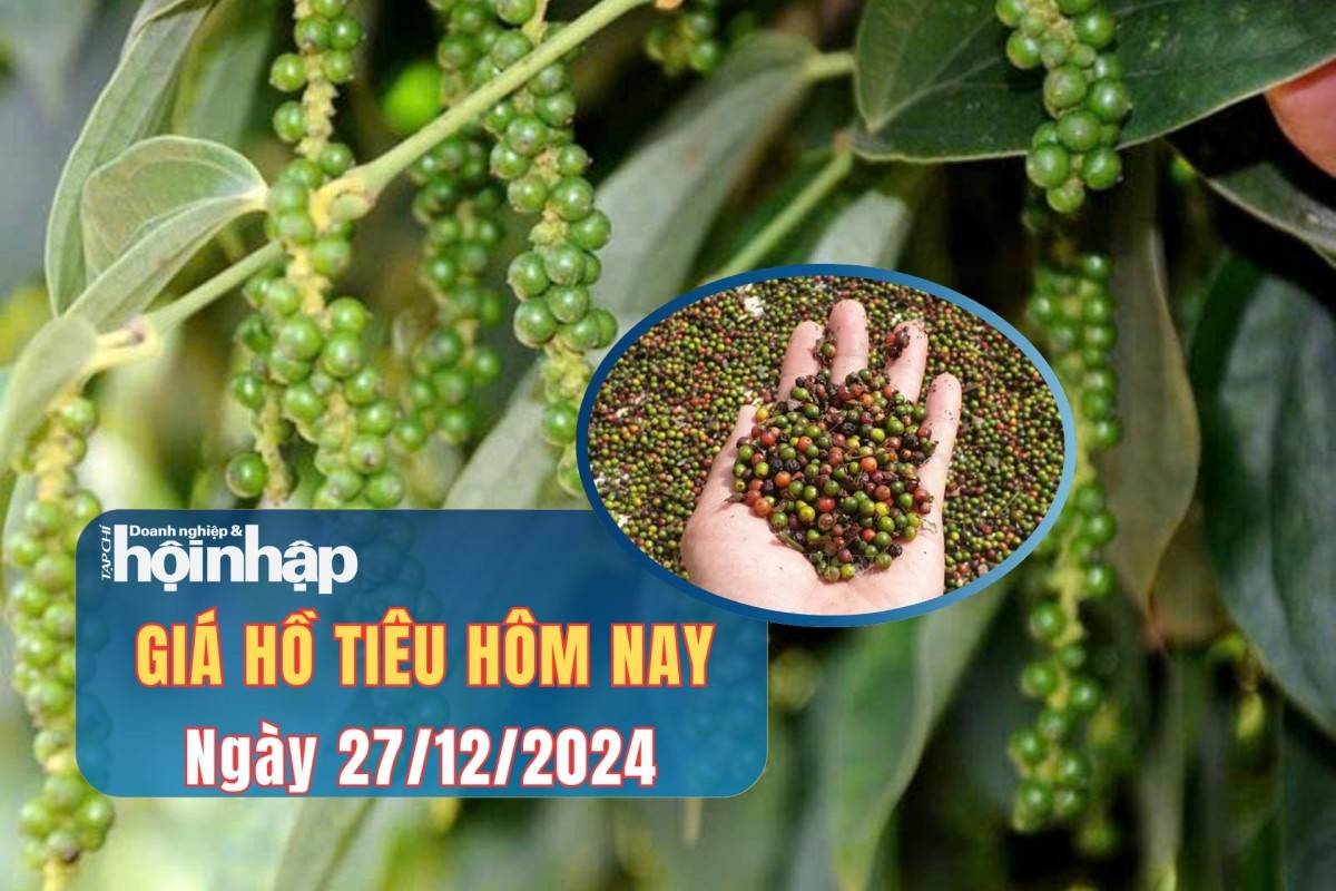 Giá tiêu hôm nay 25/12: Giá tiêu hôm nay 25/12: