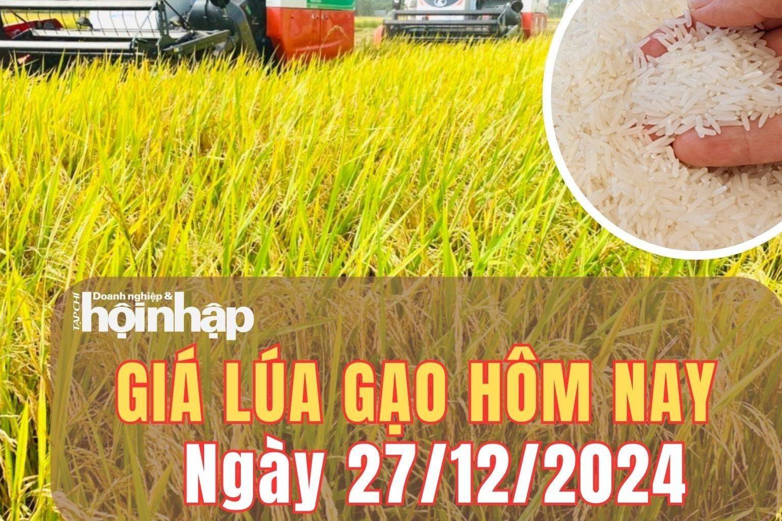 Giá lúa gạo hôm nay 27/12/2024: Giá lúa gạo trong nước nối dài chuỗi ngày giảm