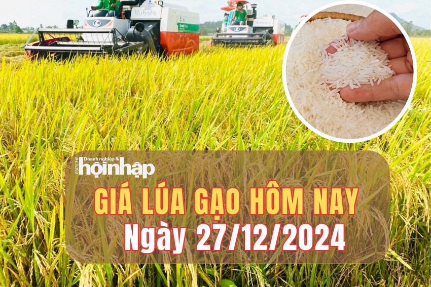 Giá lúa gạo hôm nay 27/12/2024: Giá lúa gạo trong nước nối dài chuỗi ngày giảm giá 