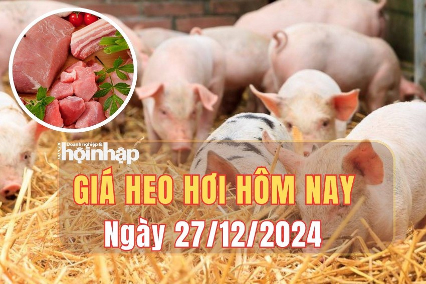 Giá heo hơi hôm nay 27/12/2024: Giá heo hơi duy trì đà đi ngang trên cả nước.