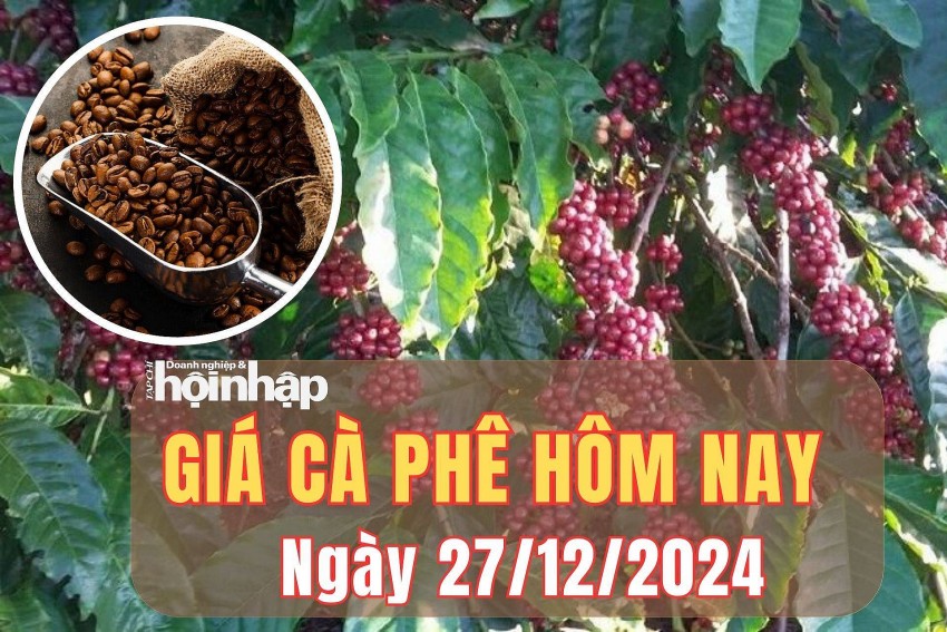 Giá cà phê hôm nay 27/12/2024: Giá cà phê trong nước quay trở lại đà tăng từ 700 - 800 đồng/kg