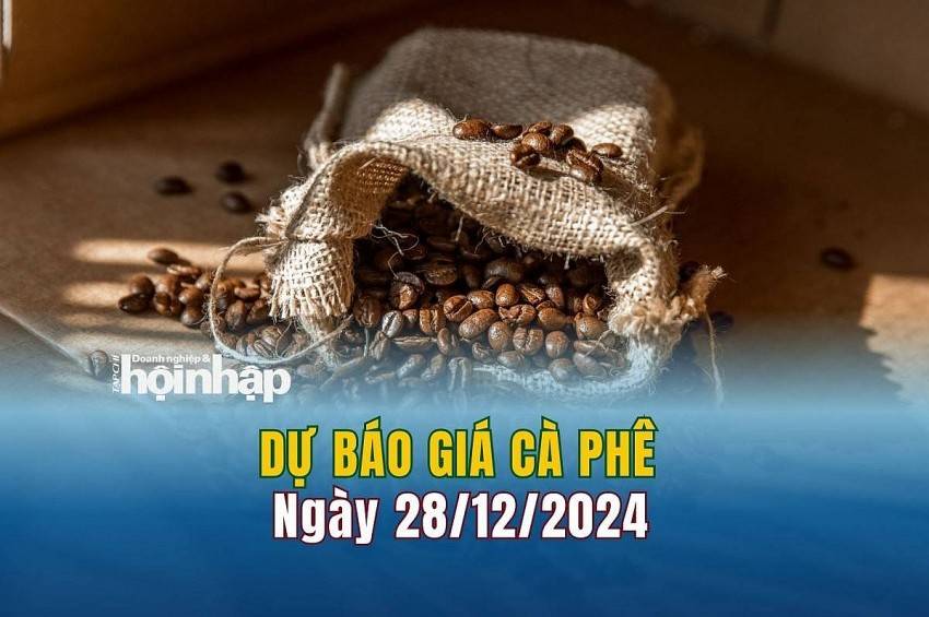 Dự báo giá cà phê 28/12: Giá cà phê nội địa duy trì đà tăng