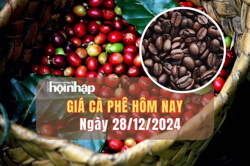 Giá cà phê hôm nay 28/12: Giá cà phê trong nước tiếp đà tăng 500 - 600 đồng/kg