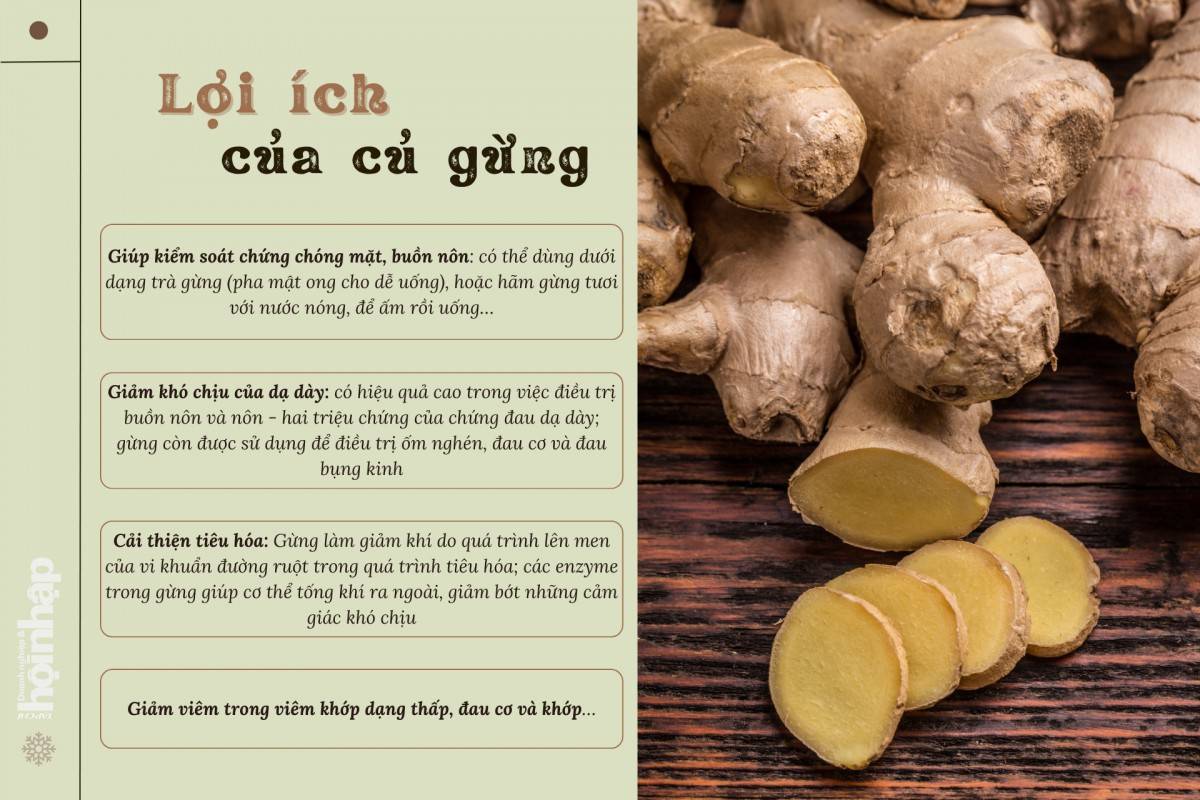 Lợi ích của củ gừng