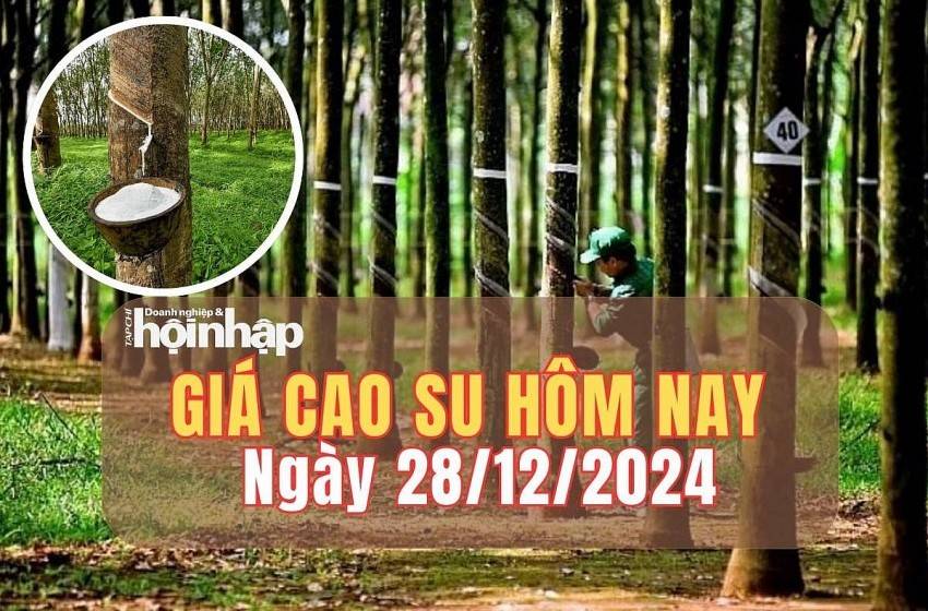 Giá cao su hôm nay 28/12: Giá cao su thế giới đồng loạt tăng tại các kỳ giao hàng