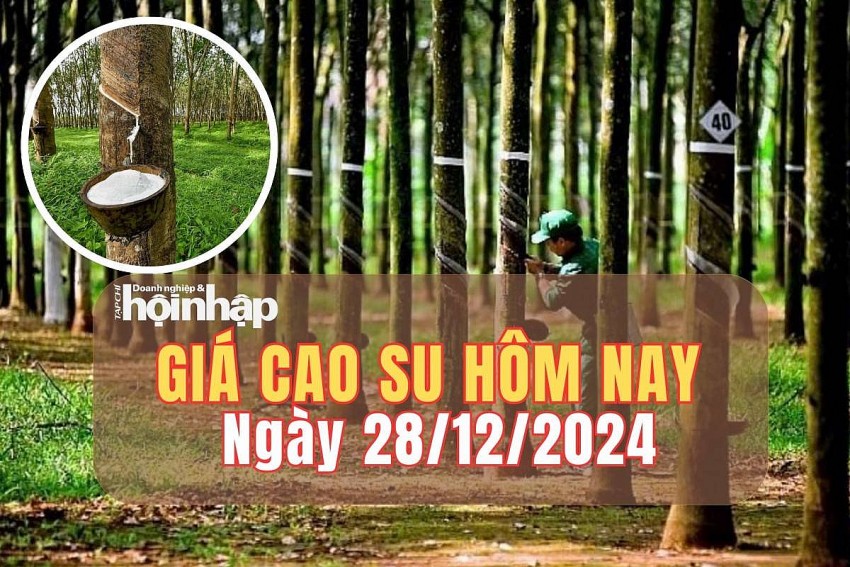Giá cao su hôm nay 28/12: Giá cao su thế giới đồng loạt tăng tại các kỳ giao hàng Giá cao su hôm nay 28/12: Giá cao su thế giới đồng loạt tăng tại các kỳ giao hàng
